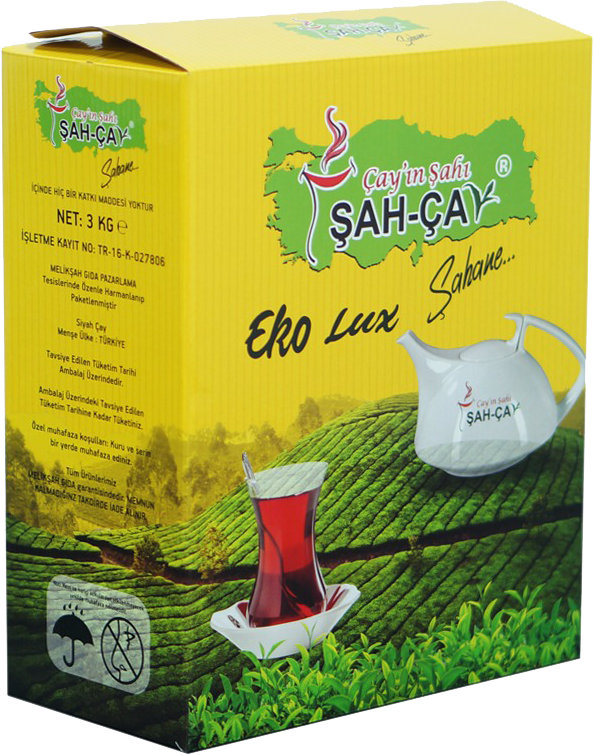 EKO KUTU
