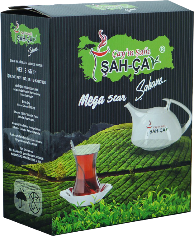MEGA KUTU